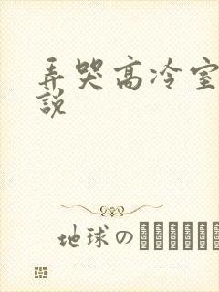 弄哭高冷室友小说