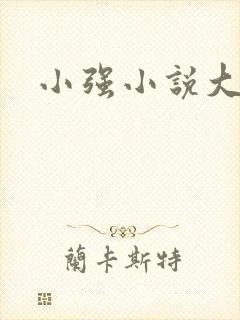 小强小说大全