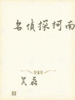 名侦探柯南h