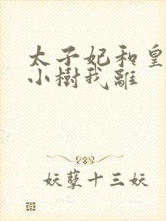 太子妃和皇上在小树我离封面