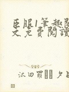 臣服1笔趣阁全文免费阅读无弹窗封面