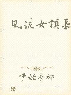 风流女镇长封面