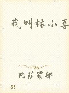 我叫林小喜17封面