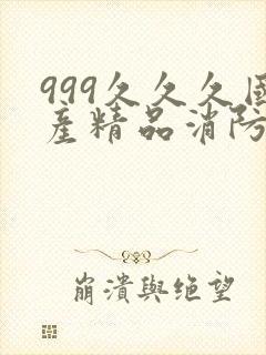 999久久久国产精品消防器材封面