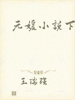 元媛小说下载封面