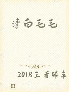 清白毛毛