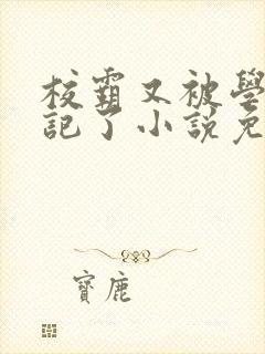 校霸又被学神标记了小说免费阅读封面