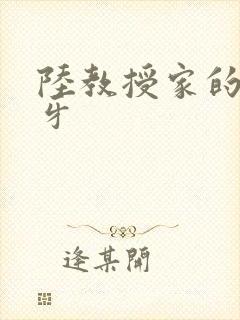 陆教授家的小月牙封面