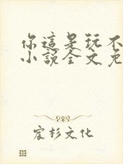 你这是玩不起呀小说全文免费阅读封面