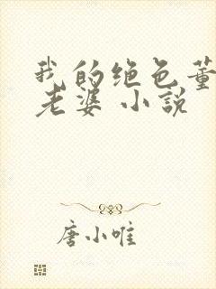 我的绝色董事长老婆 小说封面