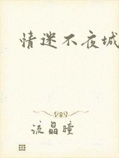 情迷不夜城