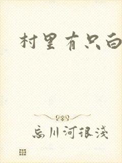 村里有只白骨精封面