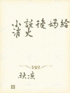 小说后妈给我消消火