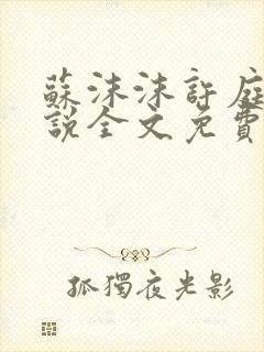 苏沫沫许庭川小说全文免费阅读封面