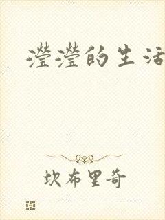 滢滢的生活日记封面