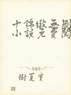十锦缎无删原著小说免费阅读