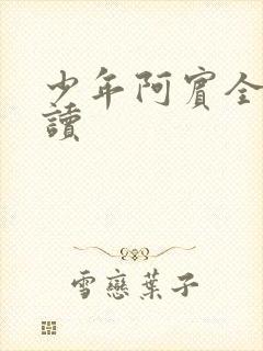 少年阿宾全集阅读
