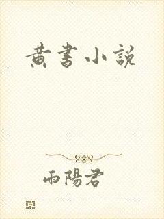 黄书小说