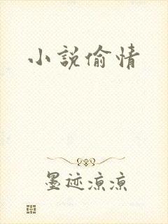 小说偷情封面