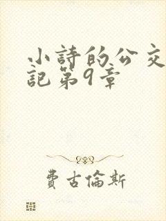 小诗的公交车日记第9章封面