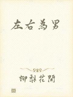 左右为男封面
