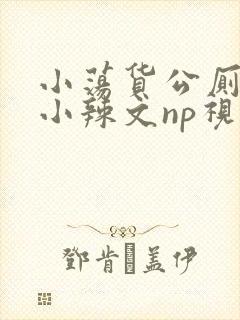 小荡货公厕h文小辣文np视频