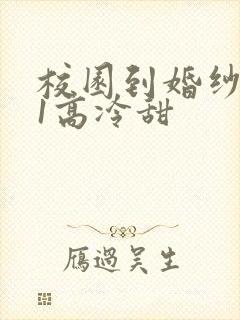 校园到婚纱1V1高冷甜封面