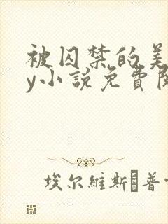 被囚禁的美人by小说免费阅读