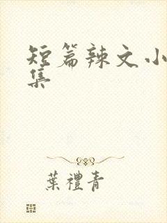 短篇辣文小说合集封面