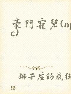豪门宠儿(npc)