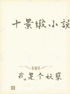 十景缎小说