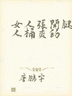 女人张开腿让男人桶爽的
