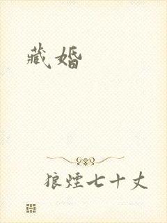 藏婚封面