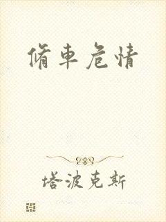 修车危情