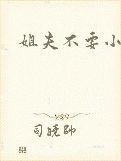 姐夫不要小说封面