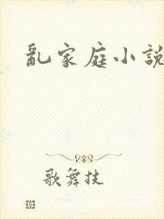 乱家庭小说封面