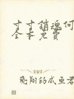 寸寸销魂何生祥全本免费