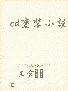 cd变装小说