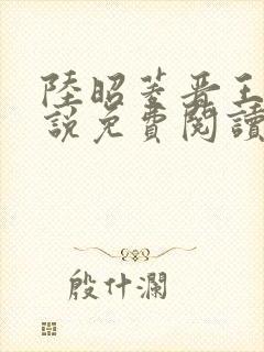 陆昭菱晋王的小说免费阅读