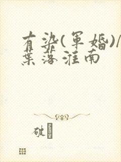 有染(军婚)/叶落淮南