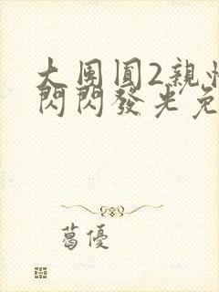 大团圆2亲情会闪闪发光免费封面