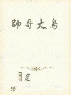 帅哥大鸟