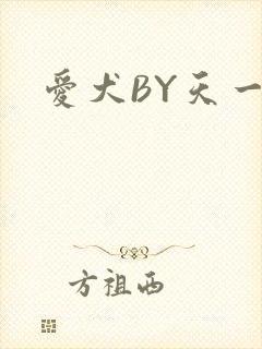 爱犬BY天一