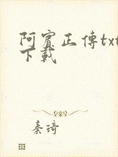 阿宾正传txt下载