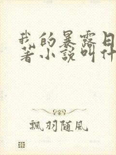 我的暴露日记原著小说叫什么封面