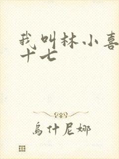 我叫林小喜今年十七