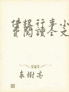 借根行事小说免费阅读全文在线阅笔趣无弹窗封面