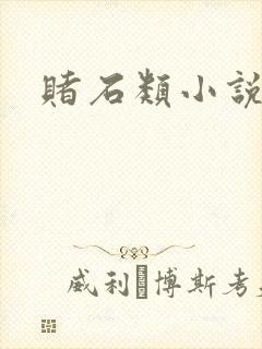 赌石类小说