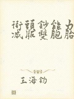街头钞能力无删减版双胞胎封面