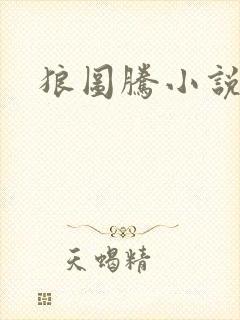 狼图腾小说封面
